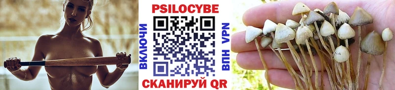 что такое Татарск Псилоцибиновые грибы ЛСД