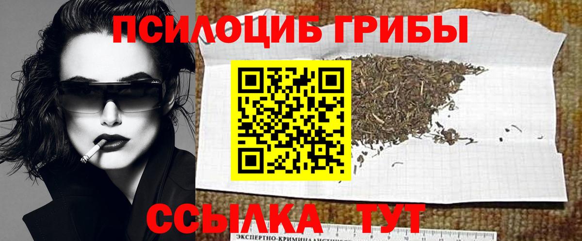 Татарск  Галлюциногенные грибы Psilocybe  Вход с VPN 